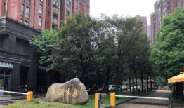 杭州临平爆料案件最新,惊人真相揭露，警方全力追查！